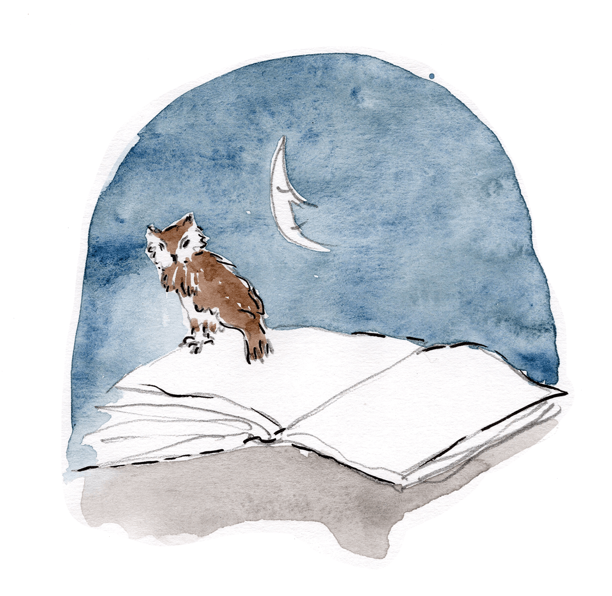 Notte - illustrazione di Margit Kröss All Rights reserved