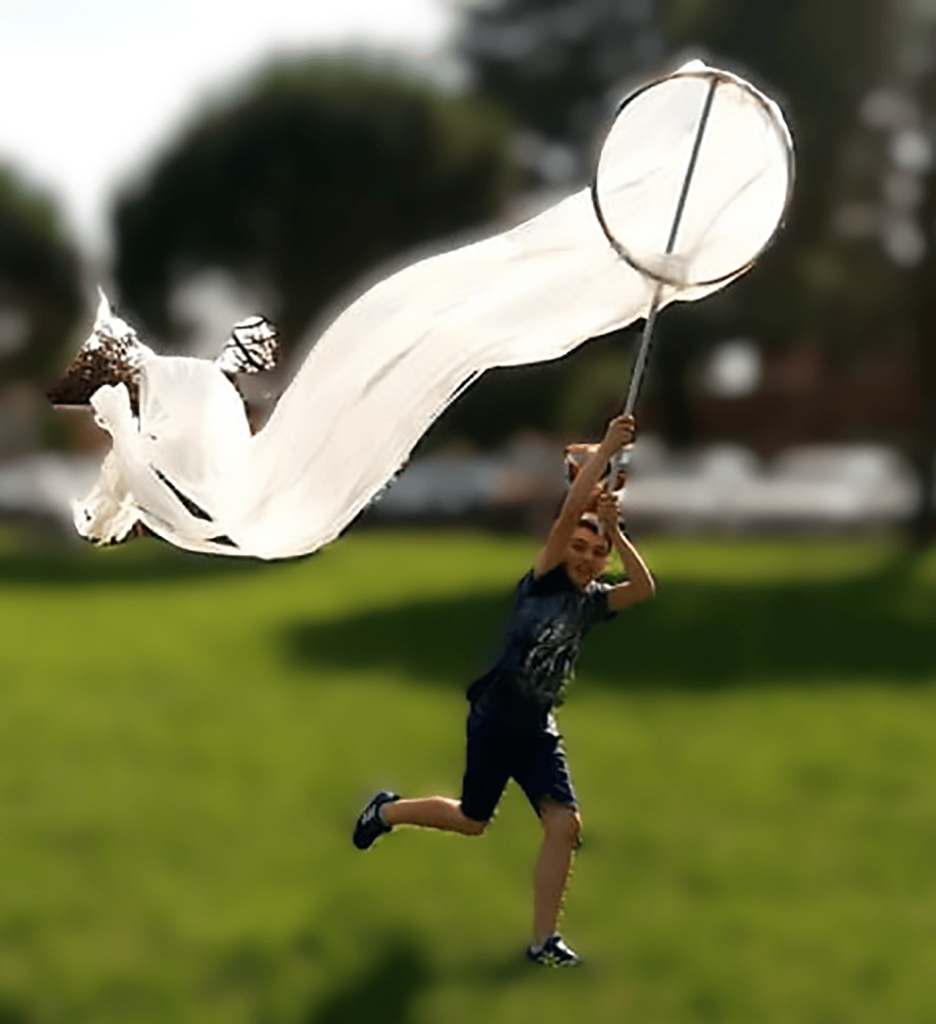 MANICHE A VENTO Erewhon