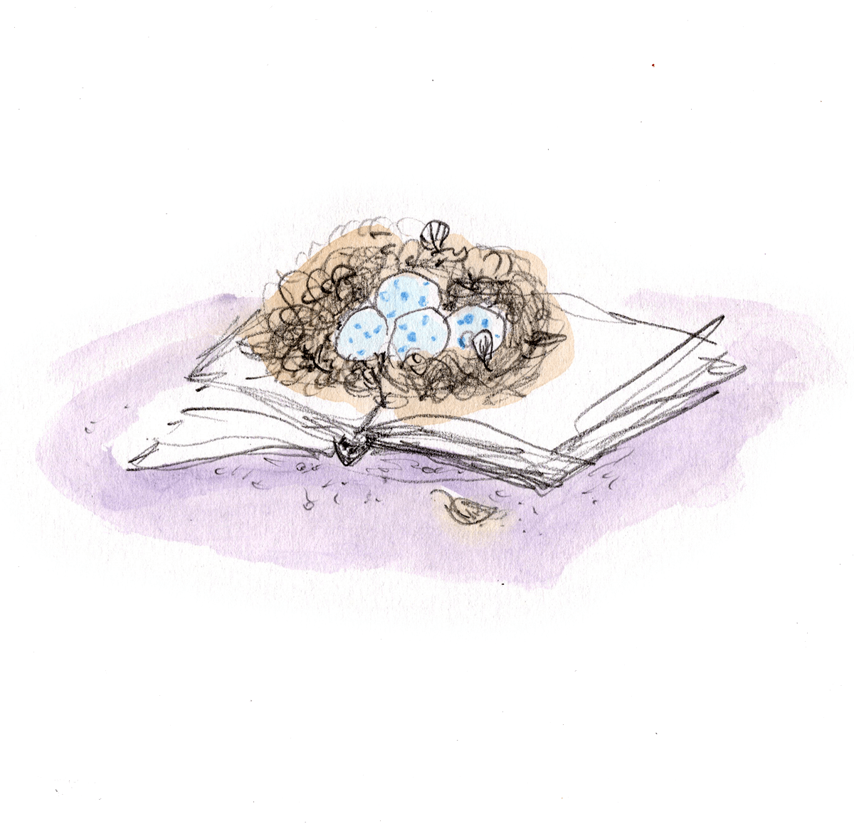 Nido - illustrazione di Margit Kröss All Rights reserved