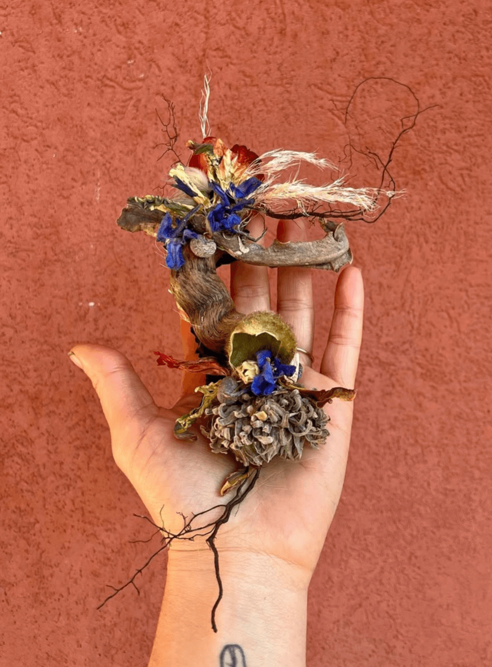 talismani-arborei_30-maggio-Levate